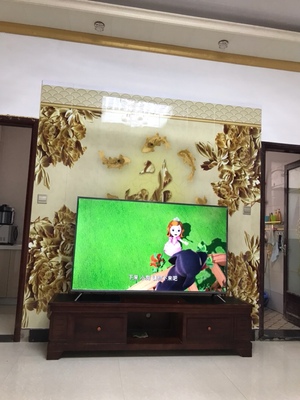 实话真说TCL65v2与海信H65E3A哪个口碑好，评测揭秘真相