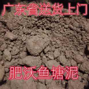 种花塘泥广东地区种菜园有机天然种植土肥沃淤泥花卉绿植园艺土壤