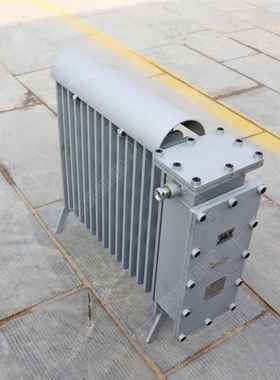RBRB-2000-000矿用防爆用电暖器 避热难硐室电加暖气片矿水循环隔
