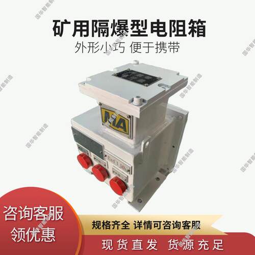 现货直发矿用隔爆型电阻箱 DZB-1140/660L矿用漏电试验电阻箱