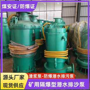 bqs30千瓦矿用隔爆型潜水排沙电泵防爆泵BQS120 30kw660v1140v