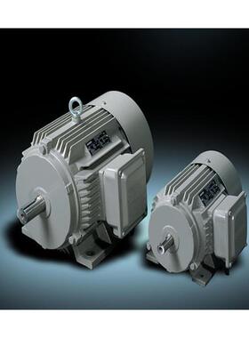 宽频电机YP2-100L-2-3W低压调频电机铜线质保三相异步电动机