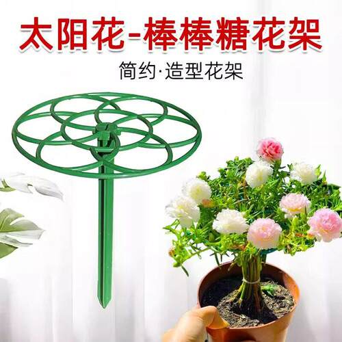 Sunflower support stick lollipop flower stand climbing vine