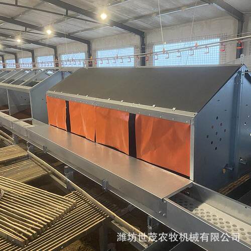 蛋鸡全自动产蛋箱厂供家禽养殖设备产蛋箱鸡场产蛋流水设备