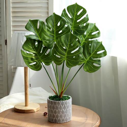 仿真散尾葵龟背叶尤加利植物室内假绿植装饰客厅桌面水泥花盆摆件