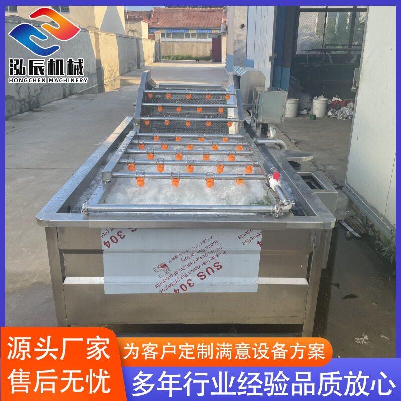 供应苦菜气泡清洗机设备 全自动玉米清洗机  板栗气泡清洗机设备