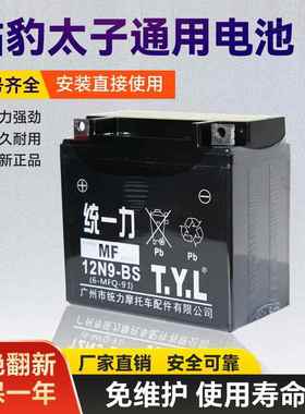 统一力TYL125摩托车电瓶12V9钻豹太子跨骑车通用12v蓄电池12N9-BS