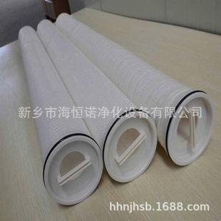 大流量水滤芯 40EPPP聚丙烯折叠式 电厂冷凝水过滤芯RMHM P050