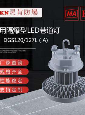 DGS100/127L矿用隔爆型LED巷道灯100W127V圆形LED巷道灯