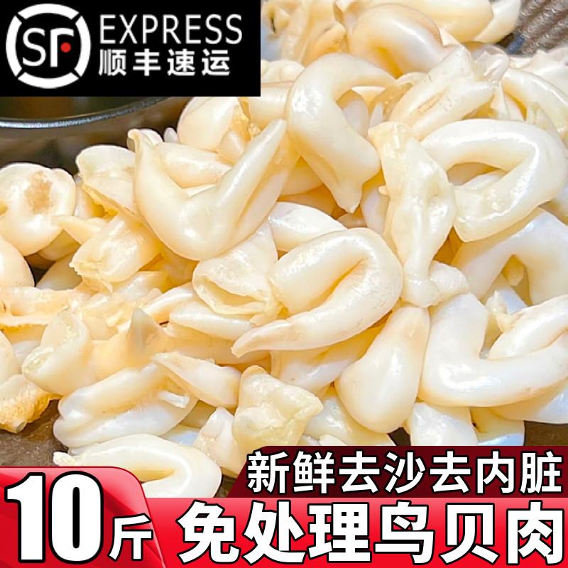 新鲜鸟贝肉去沙去内脏免清理葱油白鸟贝捞汁海鲜烧烤火锅食材商用