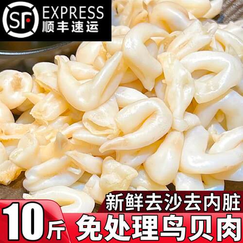 新鲜鸟贝肉去沙去内脏免清理葱油白鸟贝捞汁海鲜烧烤火锅食材商用