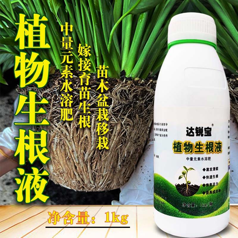 生根液大树移栽生根液 树苗营养液植物生根粉 移植树木生根剂