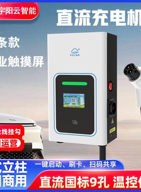 电动汽车直流充电桩快充380V15KW20KW30KW60KW80KW9孔家用商用共