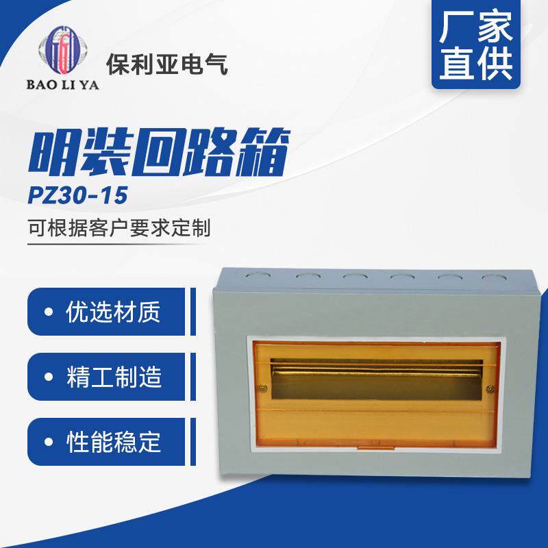 厂家特惠明装回路箱PZ30-15#终端照明箱配电箱带透明盖