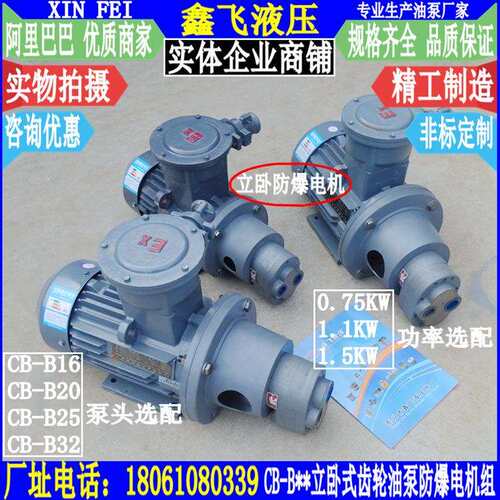 CB-B16JZ B20JZ B25JZ B32JZ立卧式齿轮油泵防爆电机组装置