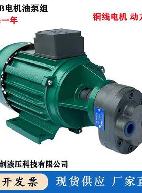 齿轮油泵+电机组输油泵组耐磨齿轮油泵CBB2.5/CBB10/CBB6/CBB4