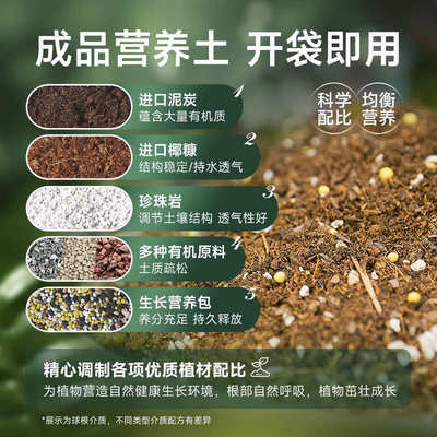 虹越花彩师百合专用营养土球根植物介质朱顶红郁金香种球种植土壤