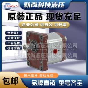 高泰克Galtech齿轮马达1SM 042 078 050 098 063 EUR N马达