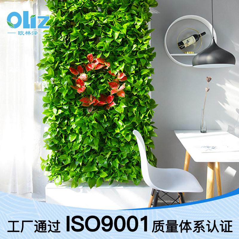 欧林泽厂家2米植物墙自动灌溉BG塑料懒人花盆绿植绿墙花盆