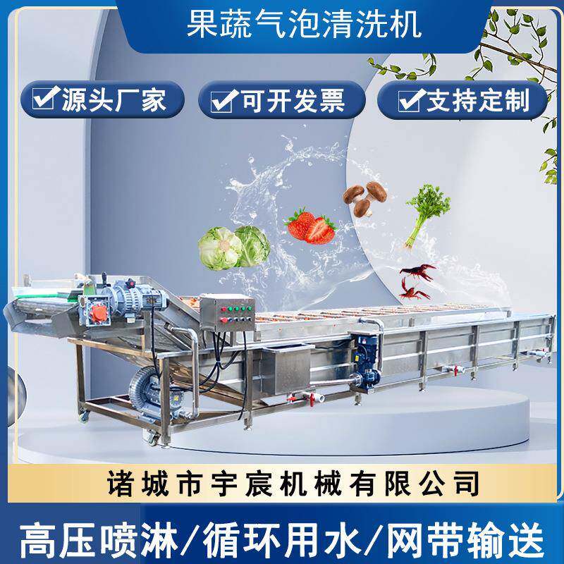 山野菜加工洗菜机芒果猕猴桃气泡清洗机包装袋油污清洗风干流水线