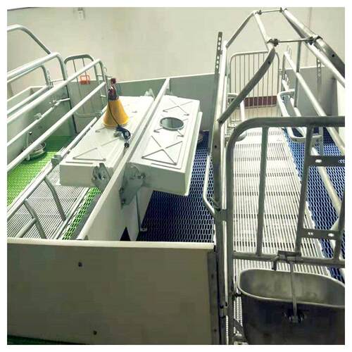 正红欧式母猪分产床 养 猪床养猪料产线养LLO猪设娩备母猪产床全