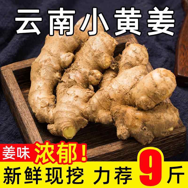农家自种小黄姜新鲜现挖辛辣正宗生姜老姜云南嫩生姜仔姜子姜泡菜