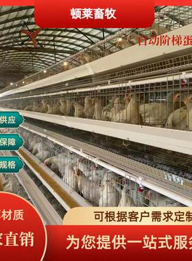 大型阶梯式蛋鸡笼龙门背负料机三层四层阶梯养殖场鸡舍用厂家直销