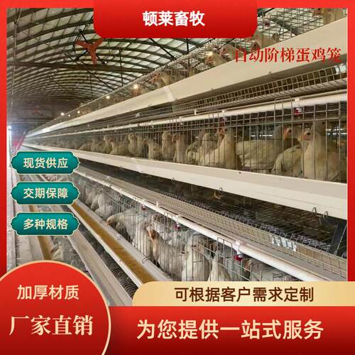 大型阶梯式蛋鸡笼龙门背负料机三层四层阶梯养殖场鸡舍用厂家直销
