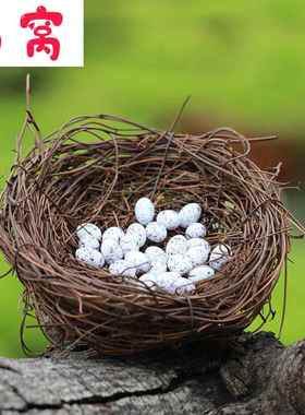 苔藓微景观摆件 幸福鸟窝 鸟蛋 DIY造景摆件小鸟配件饰品鸟巢木屋