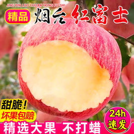 正宗山东烟台红富士苹果水果新鲜脆甜10斤冰糖心苹果丑