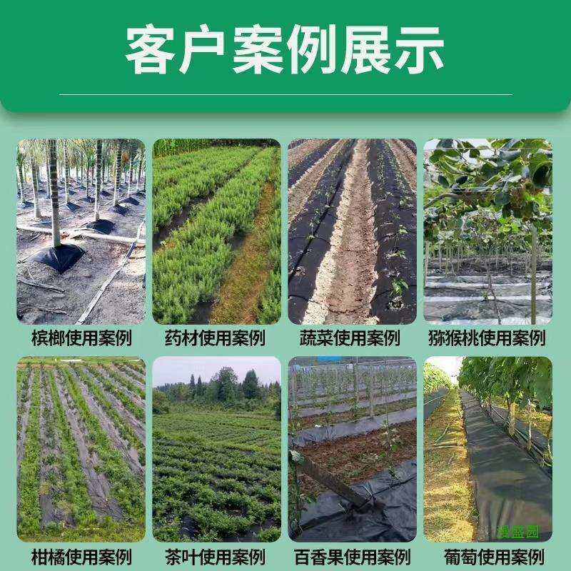 果树农用除草防草布保湿绿黑开孔果园遮草布透气布加厚地膜可降解