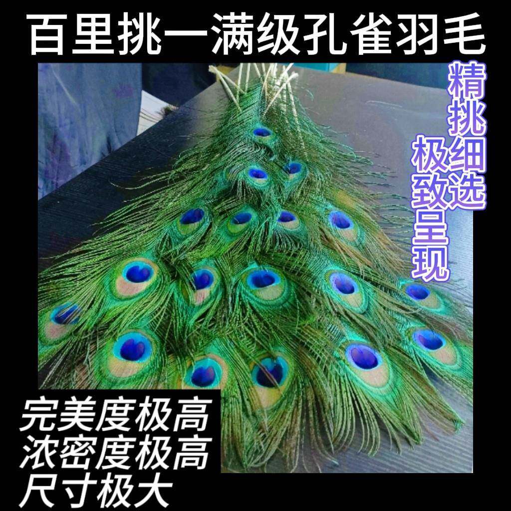 天然孔雀羽毛花瓶摆件客厅装饰超A大眼孔雀翎真羽毛根根精选