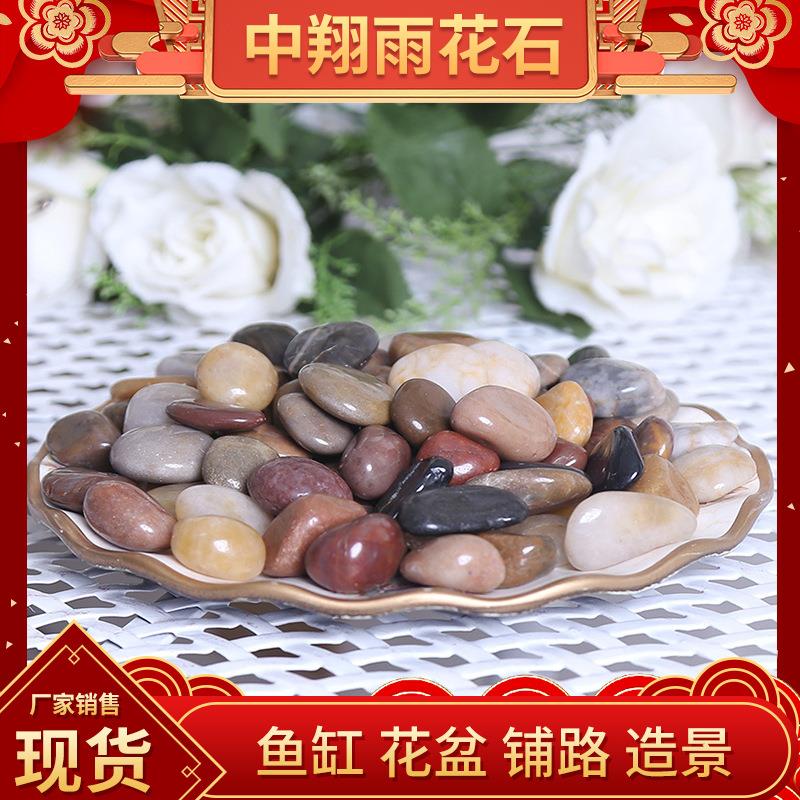 南京鹅卵石雨花石小石子鱼缸花盆多肉装饰盆栽园艺造景五彩石5斤