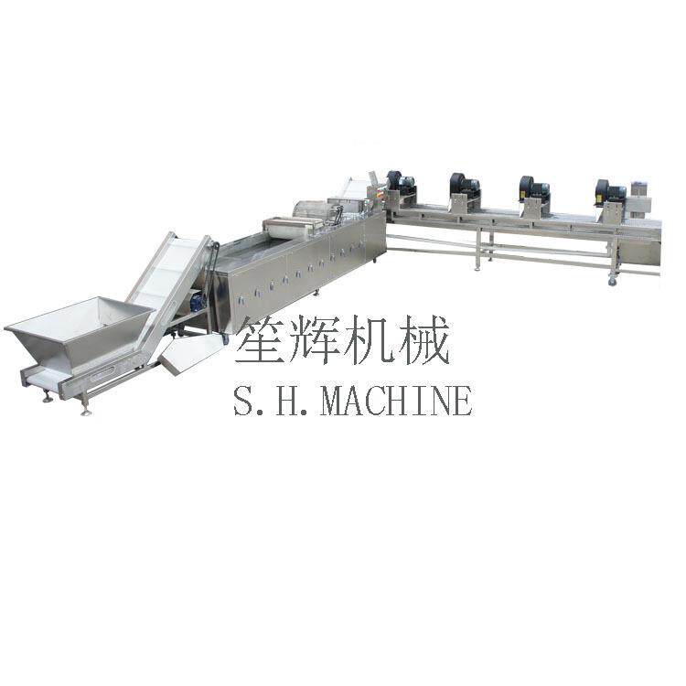 直销商业果蔬清洗机白菜气泡清洗机蘑菇清洗风干机蔬菜生产