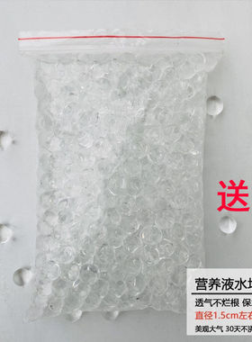 水培植物营养珠固定颗粒透明珠营养液泡大珠养花材料吸水珠水培珠