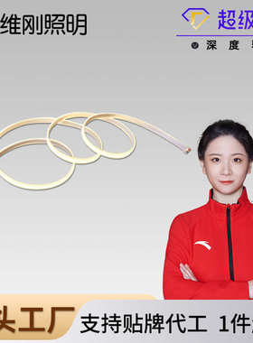 LED灯带LED灯条12V灯带COB线条灯低压套管95显指528珠无频闪J