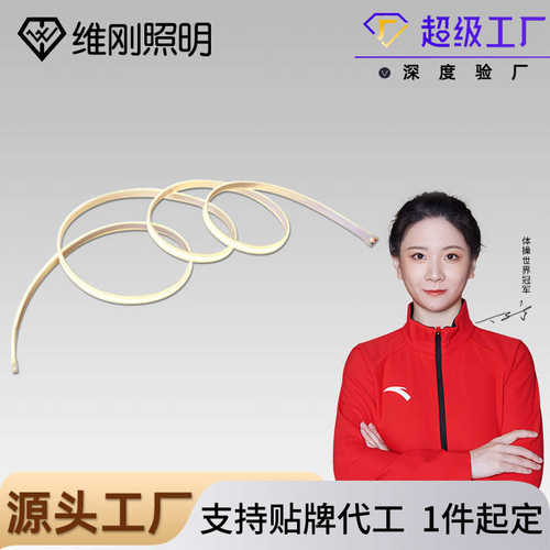 LED灯带LED灯条12V灯带COB线条灯低压套管95显指528珠无频闪J