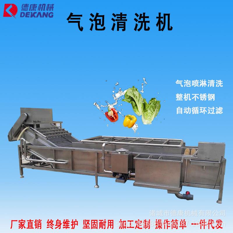 厂家直销水果蔬菜气泡清洗机全自动洗菜机大型蔬菜气泡翻浪清洗机