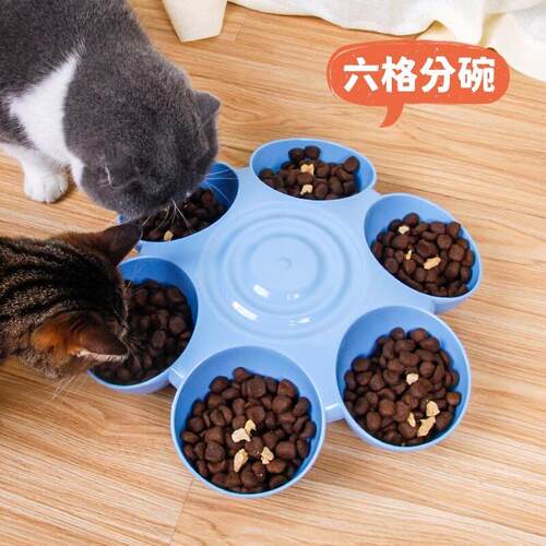 多功能宠物碗六碗一体防打翻多猫家庭猫碗小型犬吃饭喝水小狗水碗