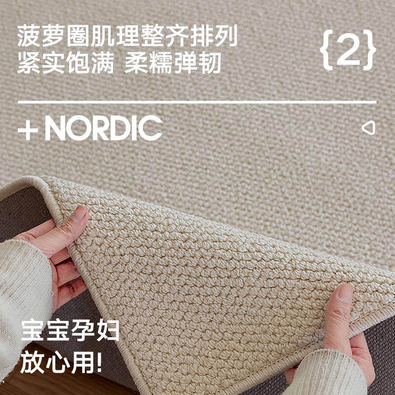 防水地毯客厅2024新款轻奢高级茶几毯卧室房间地垫家用免洗可擦