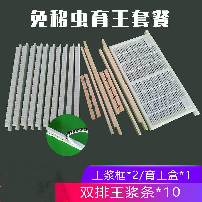 免移虫育王器王浆条王浆框育王盒王台基王台条托虫柱