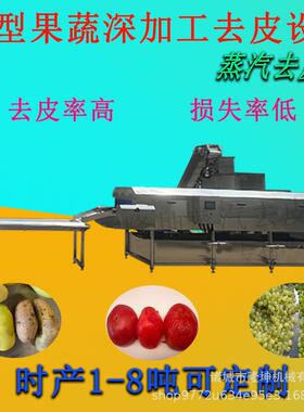 全自动西红柿去皮机 圣女果蒸汽脱皮机 多功能脆柿子果蔬去皮设备
