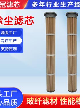 工业除尘滤芯厂家现货供应粉尘滤芯折叠滤芯除粉尘除尘滤筒