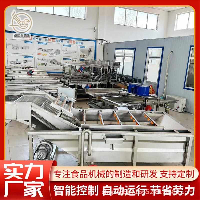 多功能连续式酸菜清洗设备 大型芹菜清洗机 商用空心菜气泡清洗机