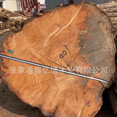 黄香柏 原木木棒 红香柏木材 加工工程棺材崖柏木木板 香柏木