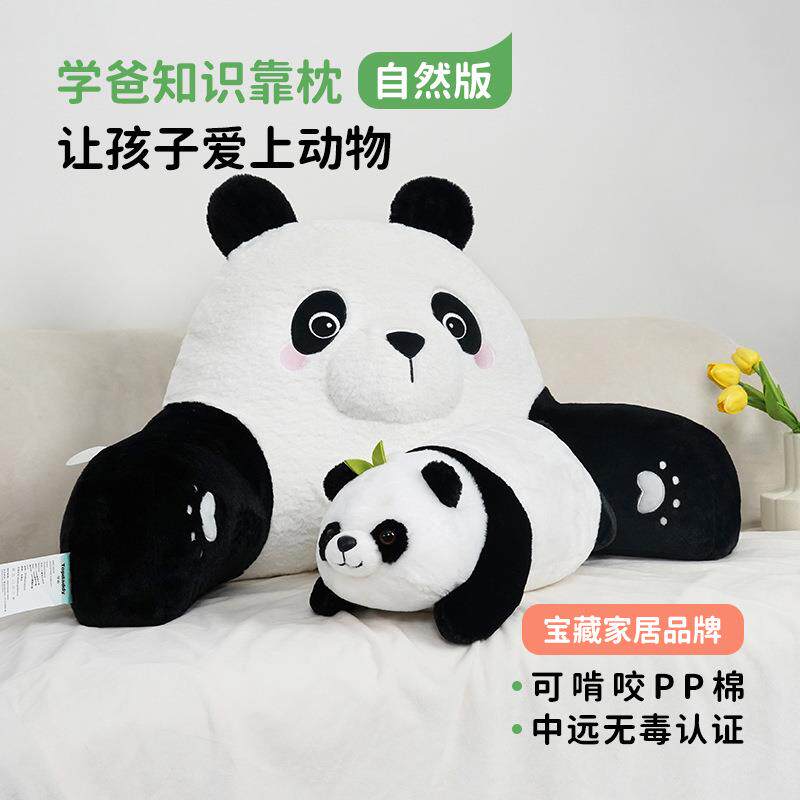 P66DA类床头靠枕知识床上大靠背 客厅沙发抱枕护腰护颈飘窗靠垫