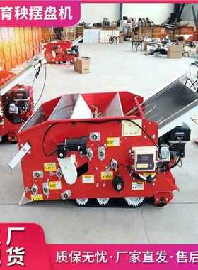 水稻盘插秧机农作一物DP-CYJ型PGF流水育线自动电动播种体秧式育