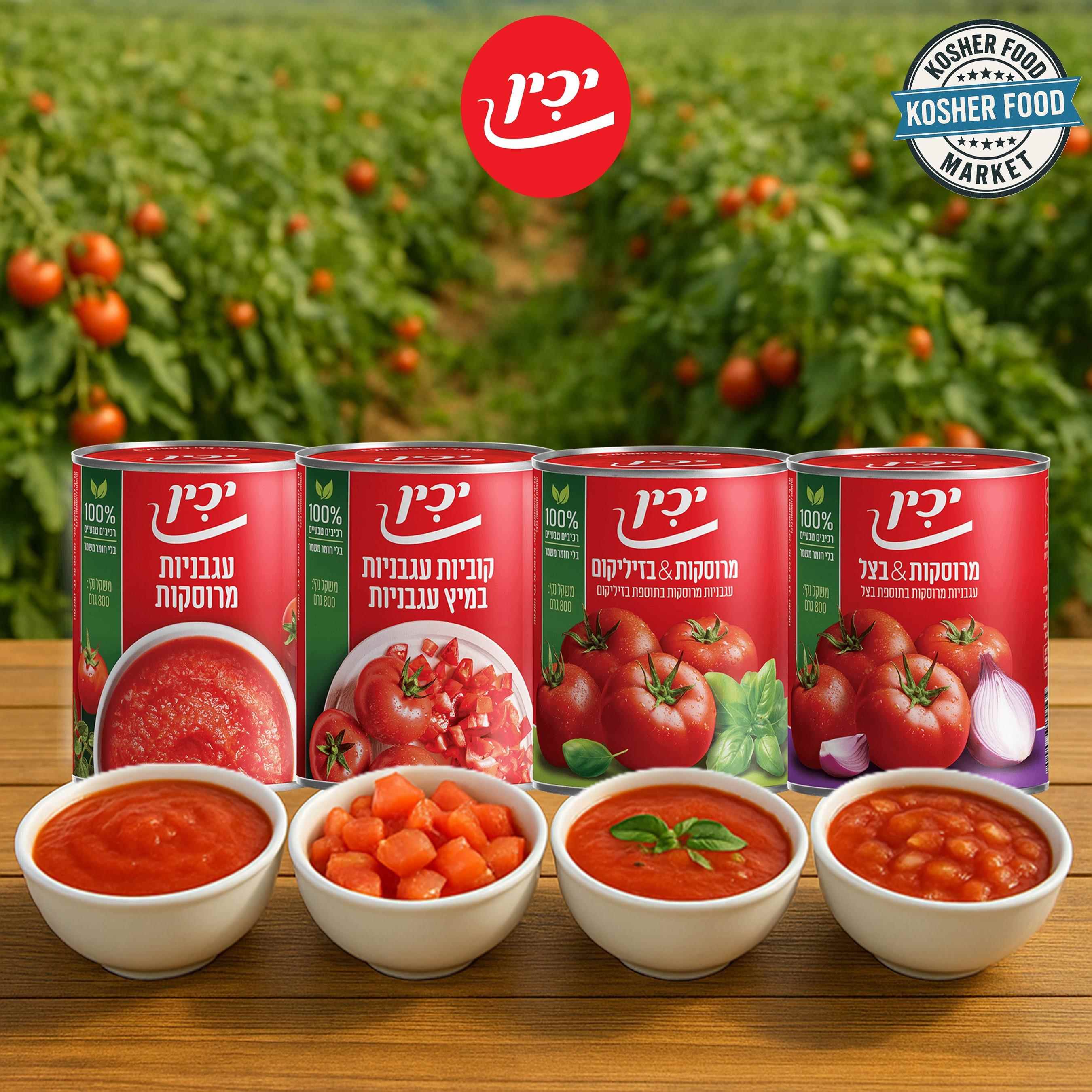 YACHIN进口100%天然碎西红柿100%natural crushed tomatoes 800g