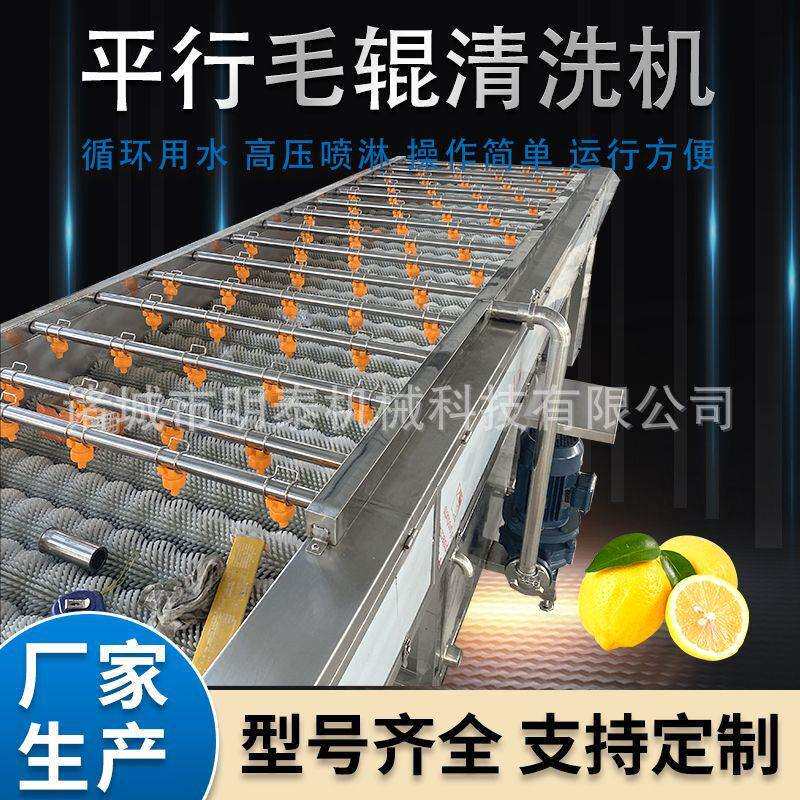 夏橙平行毛辊清洗机粑粑柑砂糖橘洗果机大姜海蛎子清洗去泥机