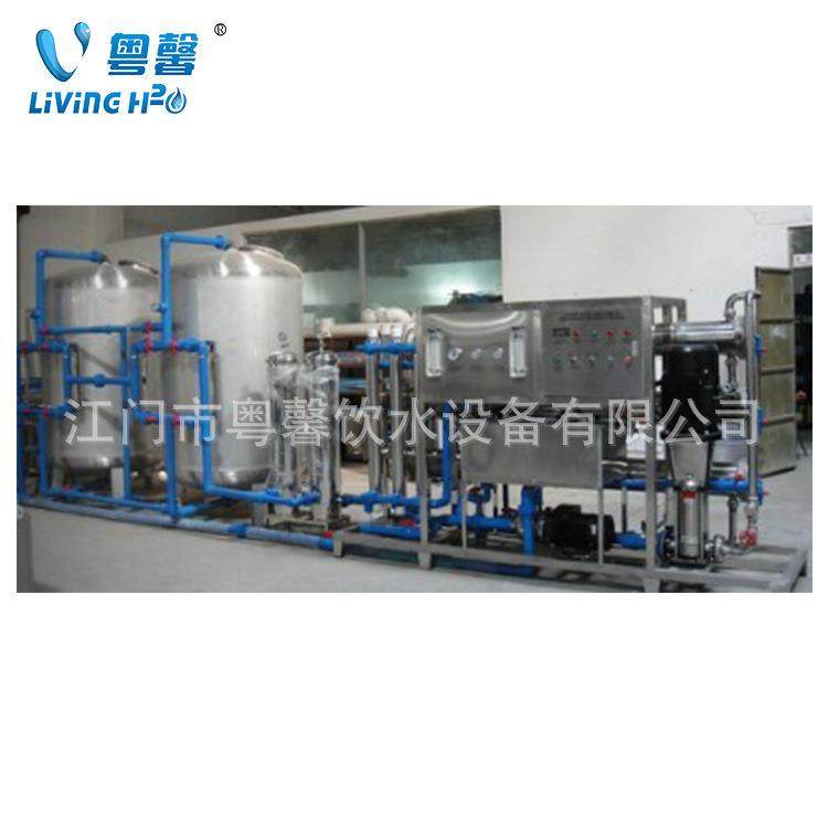 全套纯净水生产线设备二级反渗透过滤器矿泉水机钠离子过滤机厂家